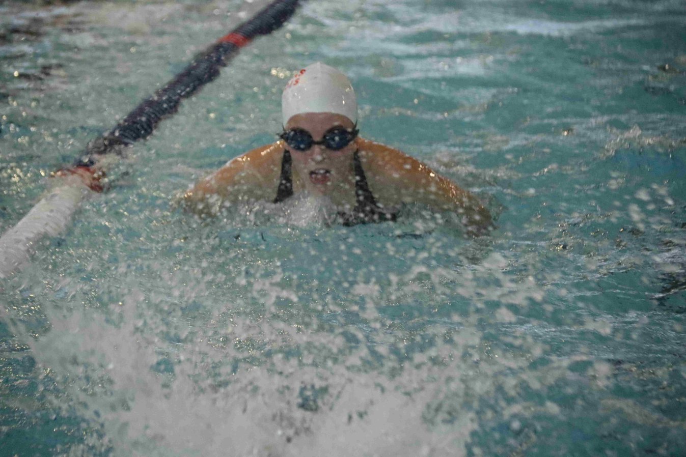 IMG_4488-min_compress20