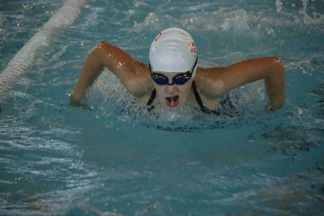 IMG_4500-min_compress77