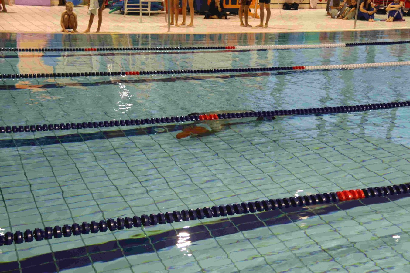 IMG_4567-min_compress58